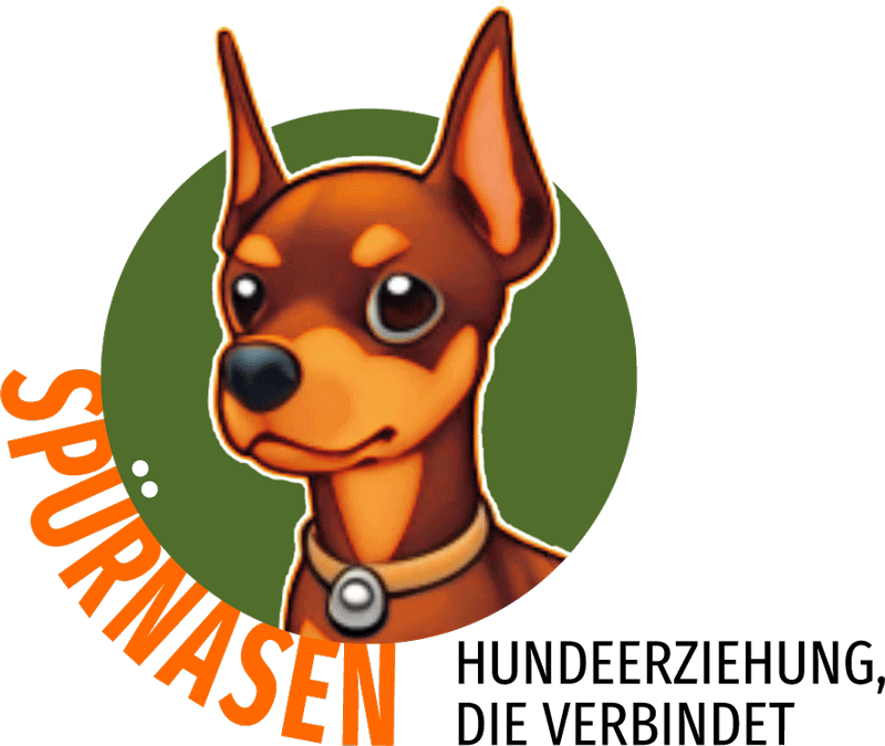 Hundeschule Spürnasen in Köln. Fundiertes Wissen, gezielte Erziehung und artgerechte Beschäftigung.