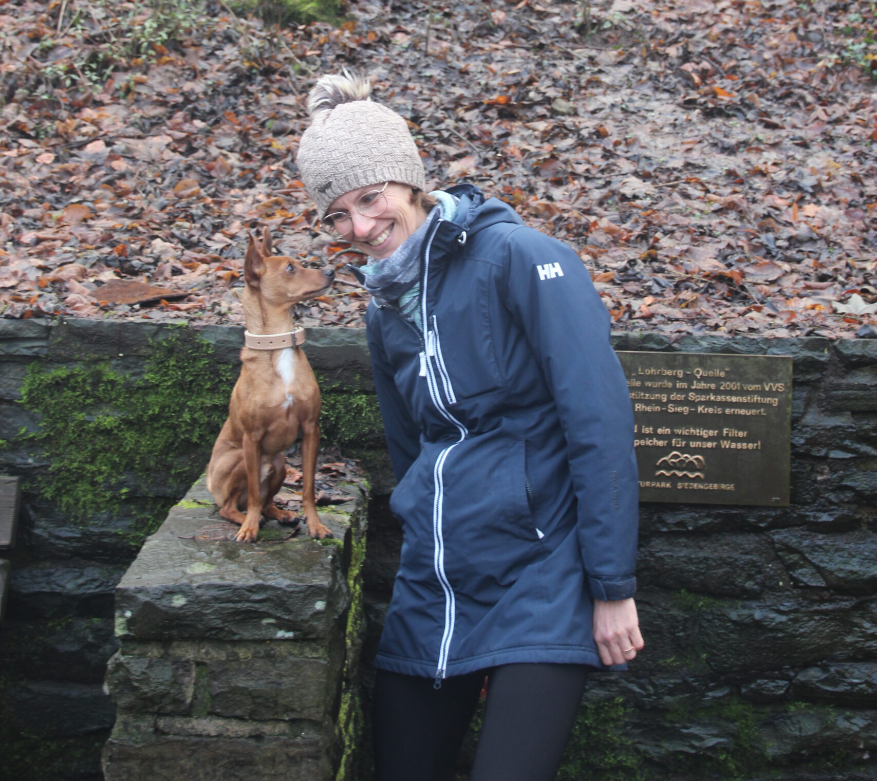 Hundeschule Spürnasen in Köln. Fundiertes Wissen, gezielte Erziehung und artgerechte Beschäftigung.