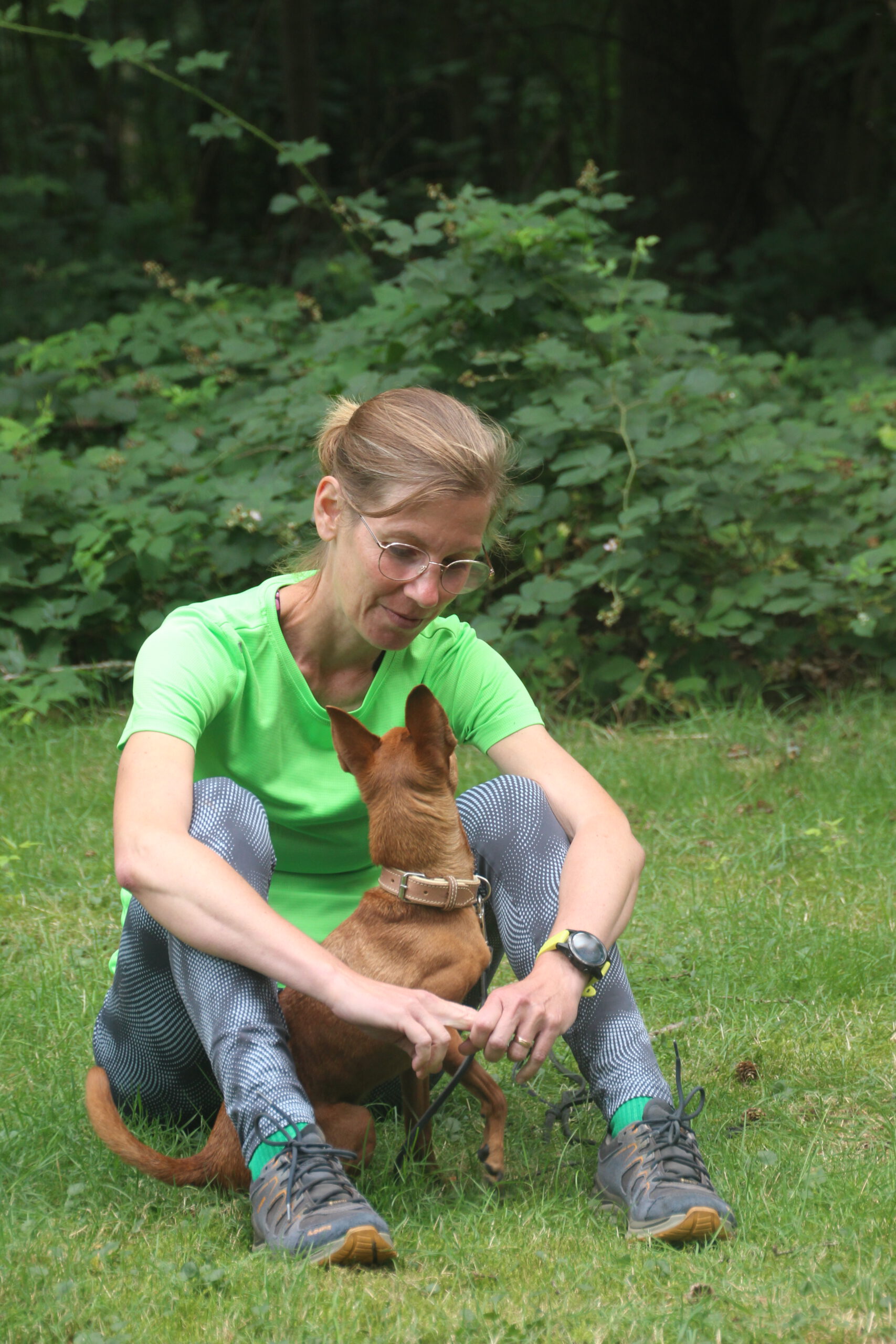 Hundeschule Spürnasen in Köln. Fundiertes Wissen, gezielte Erziehung und artgerechte Beschäftigung.