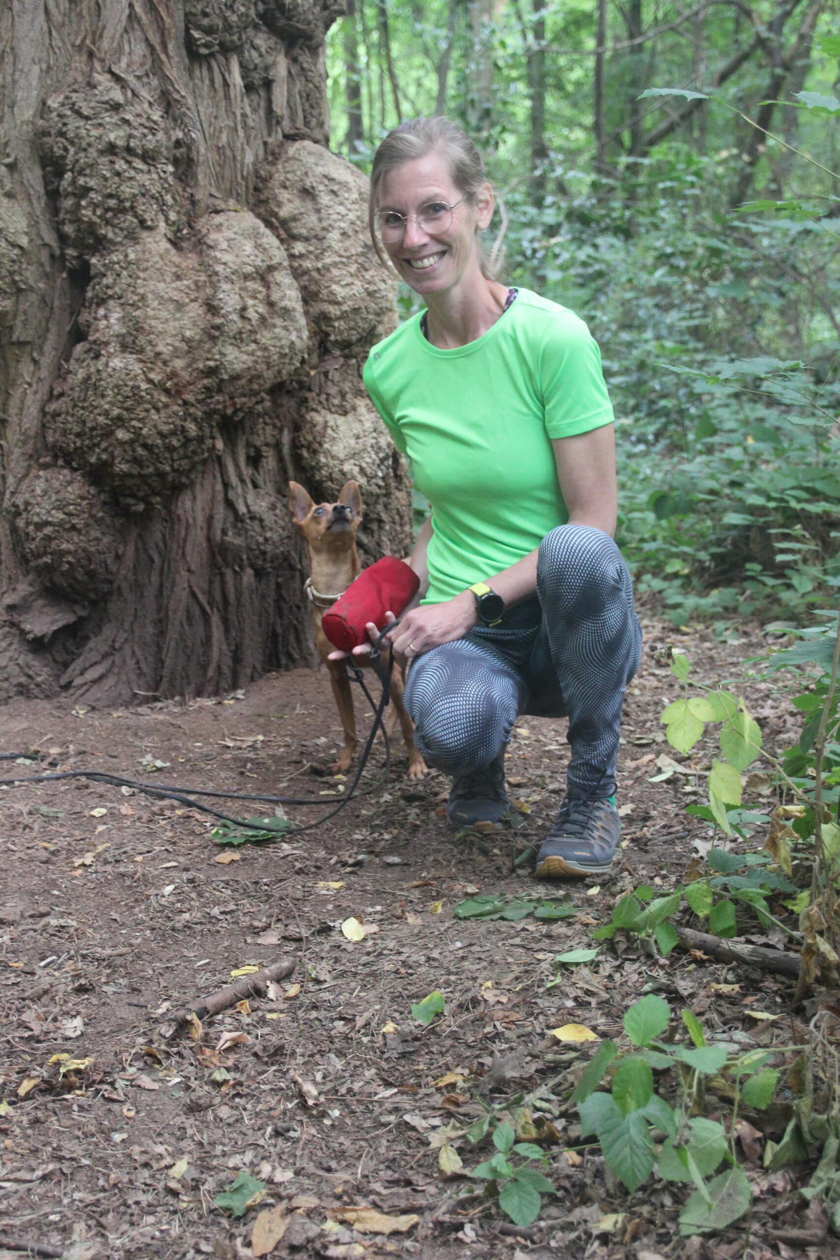 Hundeschule Spürnasen in Köln. Fundiertes Wissen, gezielte Erziehung und artgerechte Beschäftigung.