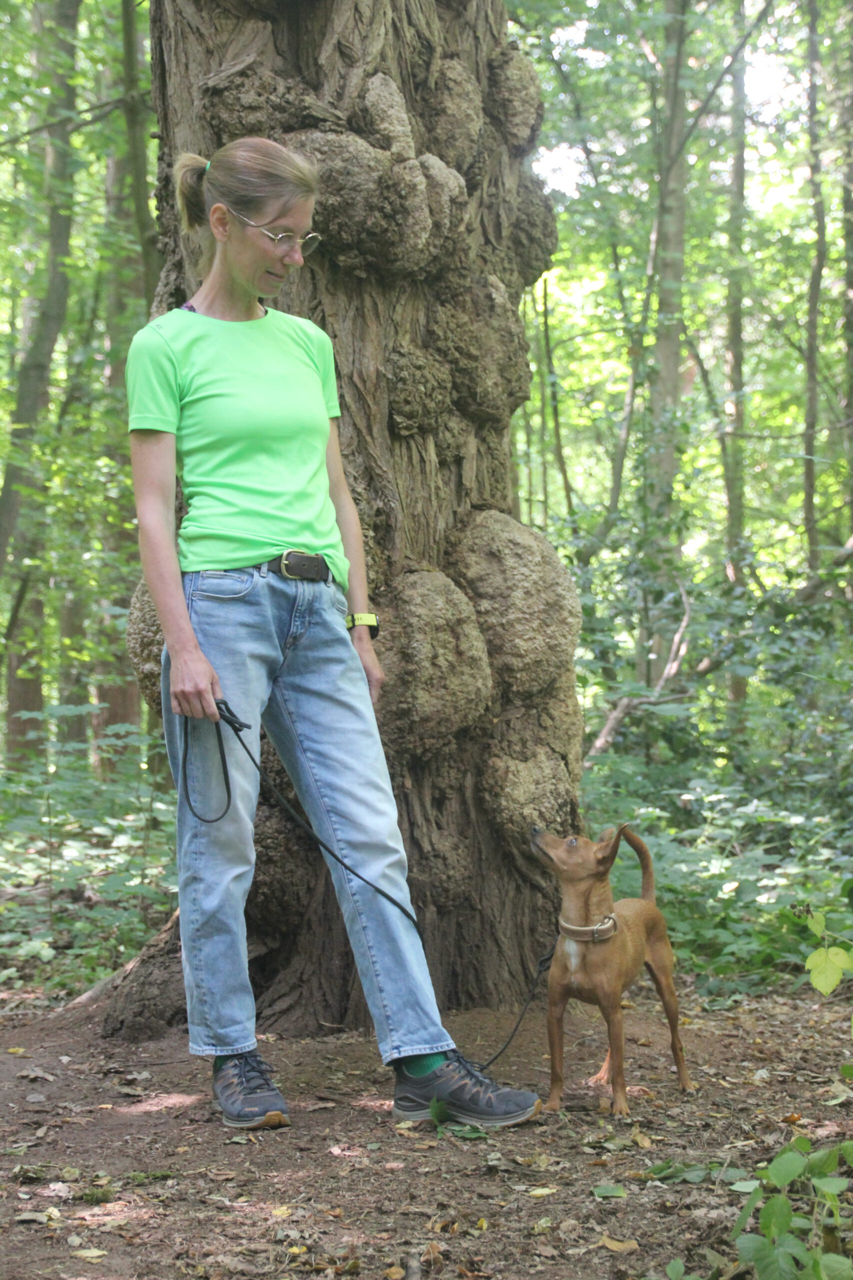 Hundeschule Spürnasen in Köln. Fundiertes Wissen, gezielte Erziehung und artgerechte Beschäftigung.