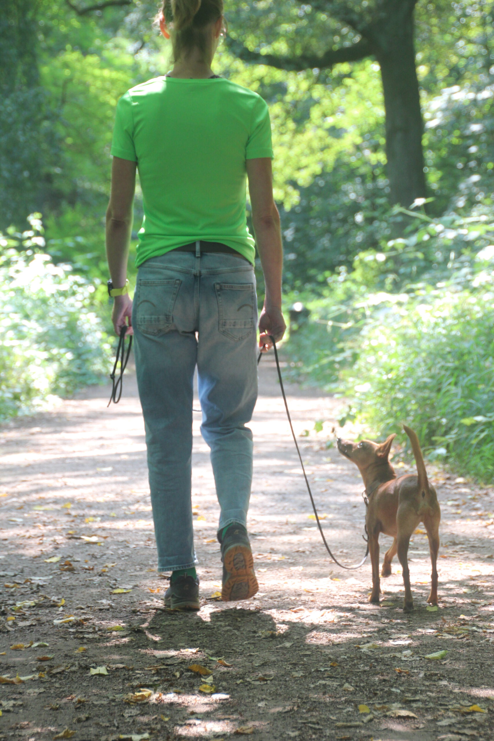 Hundeschule Spürnasen in Köln. Fundiertes Wissen, gezielte Erziehung und artgerechte Beschäftigung.
