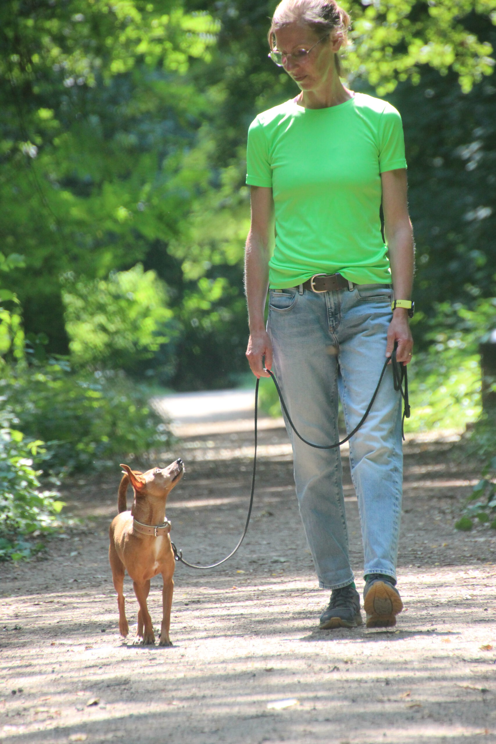 Hundeschule Spürnasen in Köln. Fundiertes Wissen, gezielte Erziehung und artgerechte Beschäftigung.