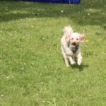 Kundenbewertung Molly